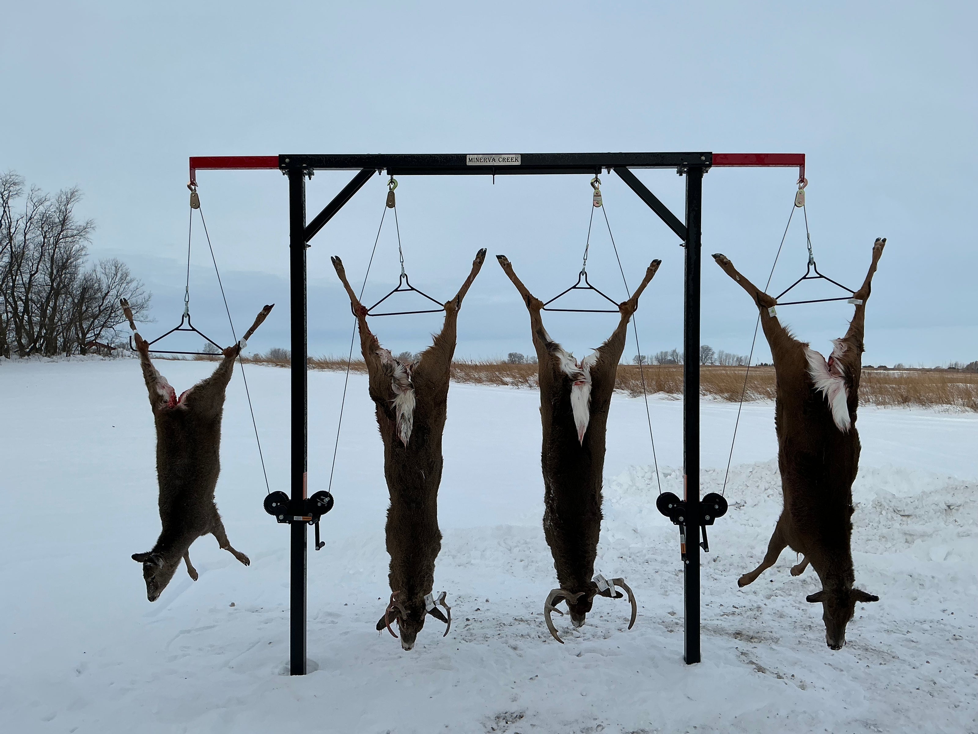 Gallows In Ground (Extended)