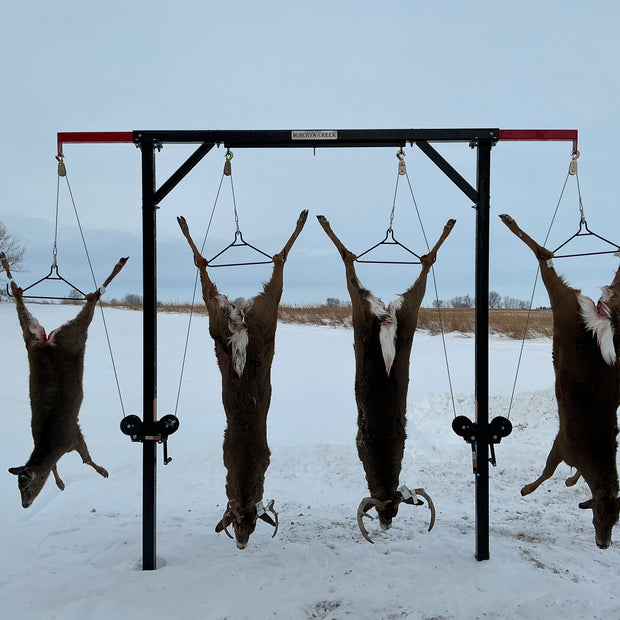 Gallows In Ground (Extended)