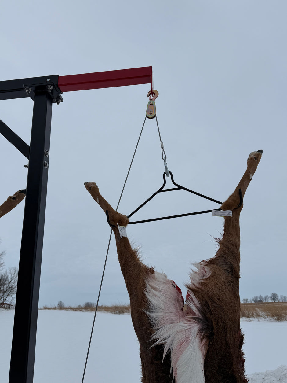 Gallows In Ground (Extended)